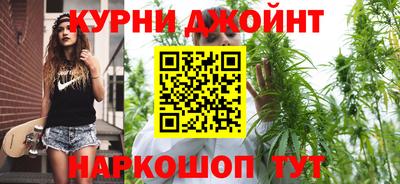шишки Новокубанск