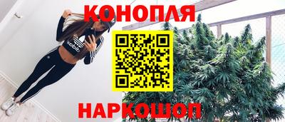 шишки Новокубанск