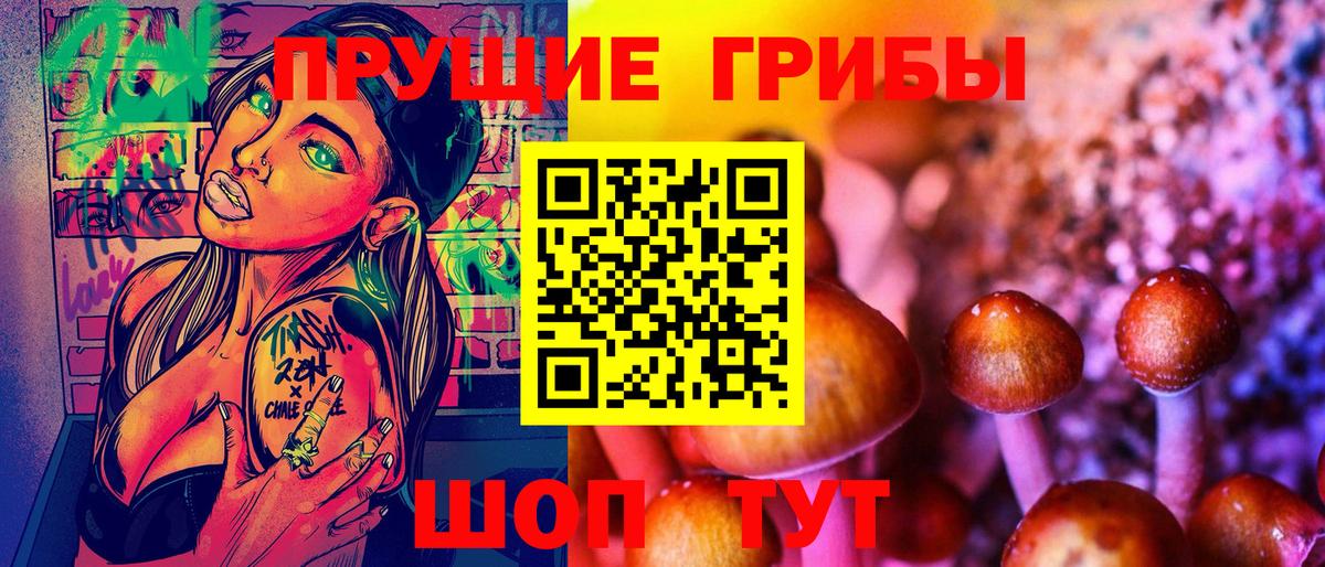Галлюциногенные грибы Psilocybine cubensis Похвистнево